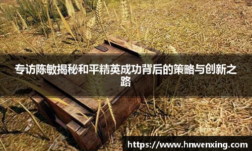 专访陈敏揭秘和平精英成功背后的策略与创新之路