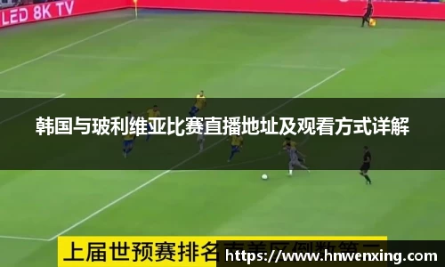 XK体育